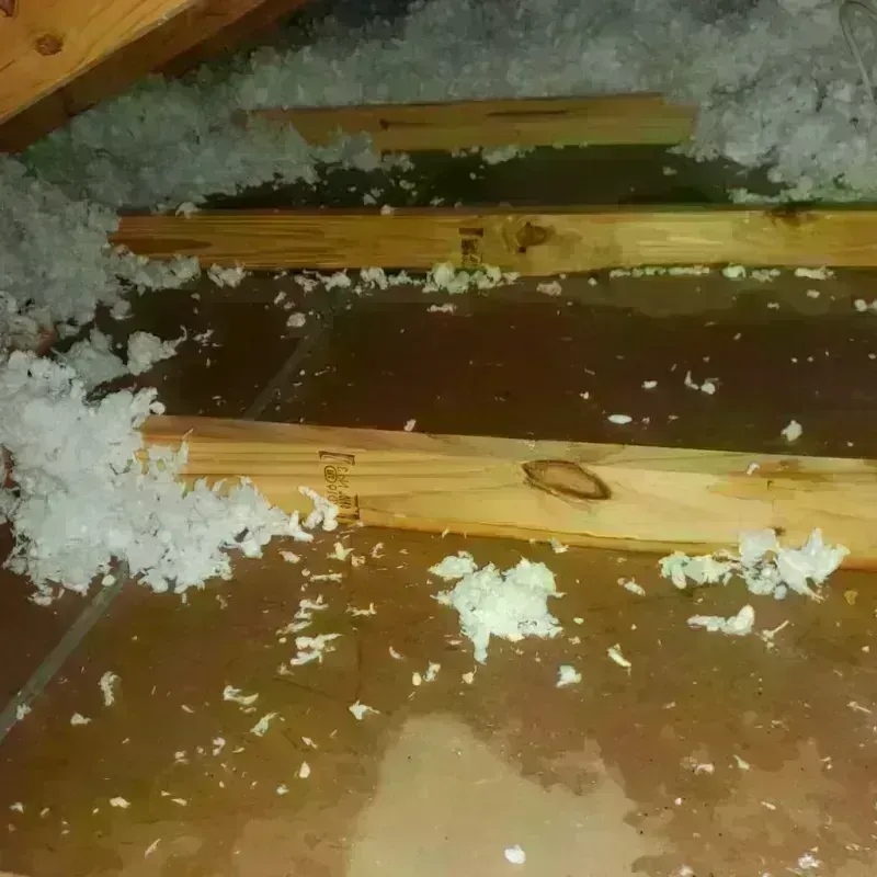 Attic Water Damage in Wayland, MA